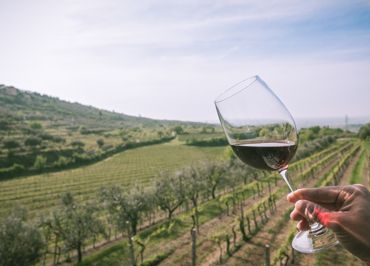 I vini di Jago <br>  a Corte Spinosa